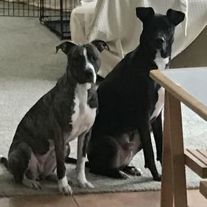 Meet your Posher, Bradley